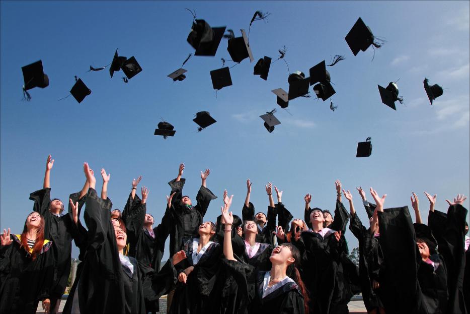 University Placement Consultancy - UCAS Advisers
