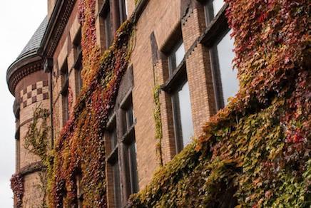 Our school placement consultants have put together a quick guide to these four impressive British public schools.